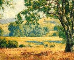 Maurice Braun